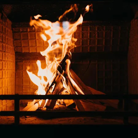 White Fang * 班斯科