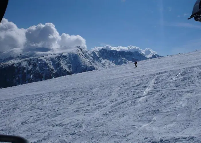 別荘 White Fang バンスコ